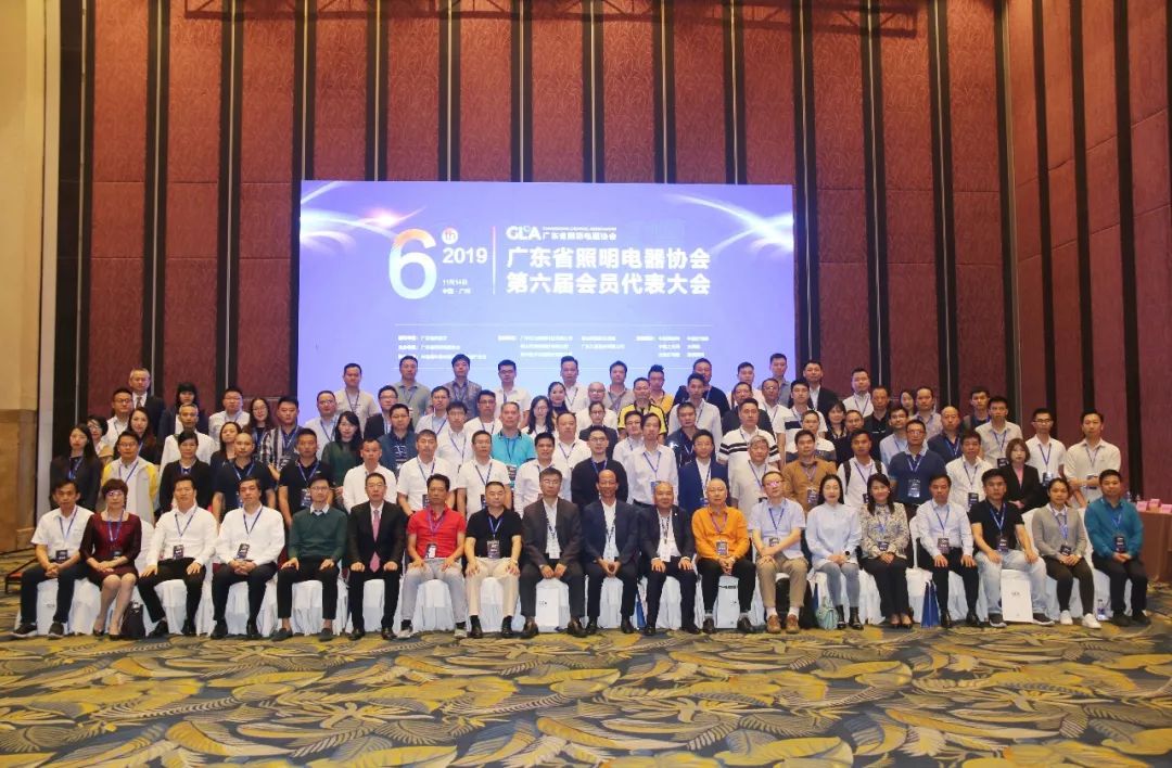 开元体育官方网广东省照明电器协会举行第六届第一次会员代表大会(图6)